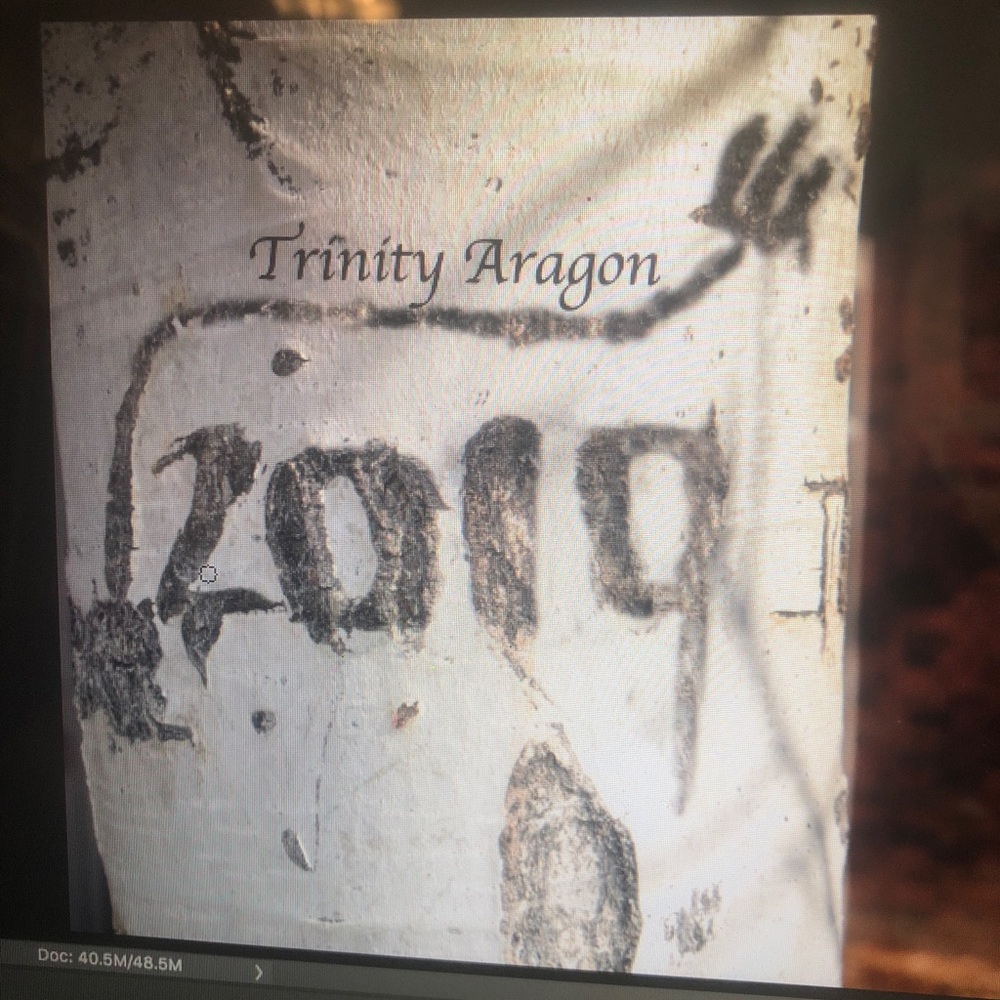 Meet your Posher, Trinity